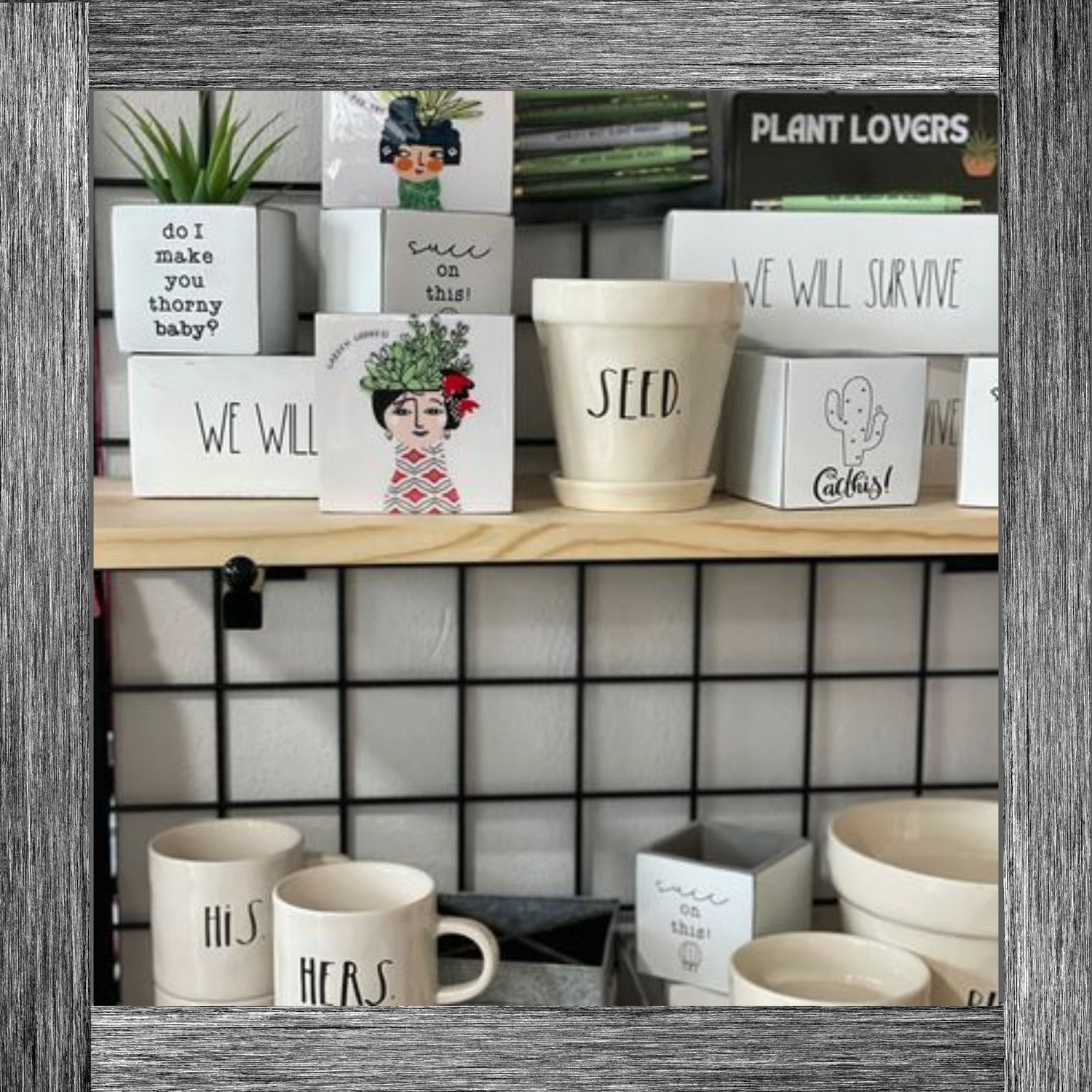 Planters & Vases