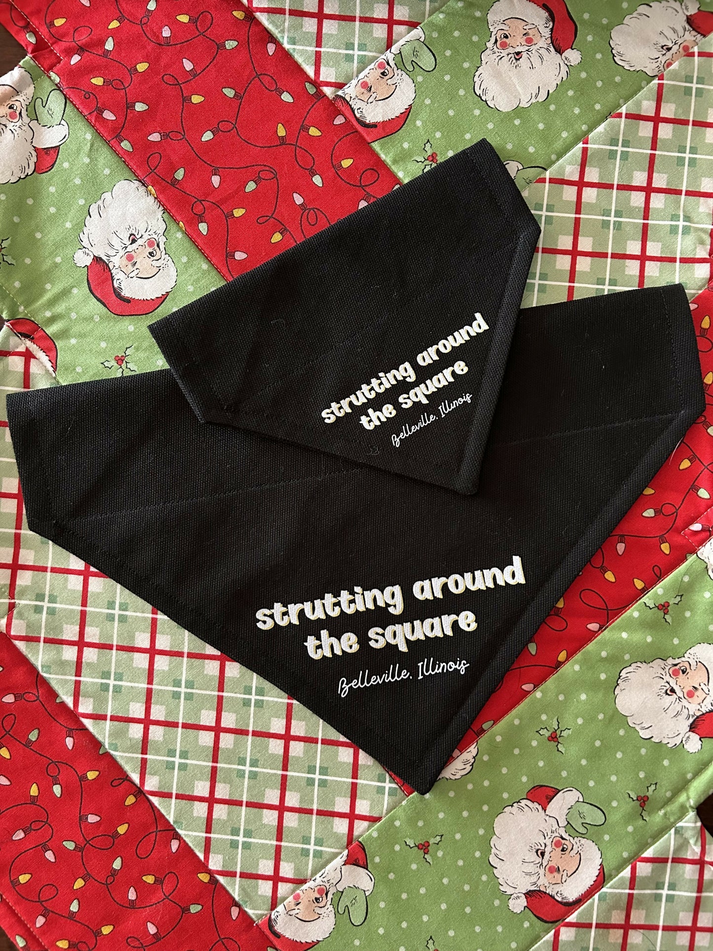 Over the collar bandana Strutting in Belleville