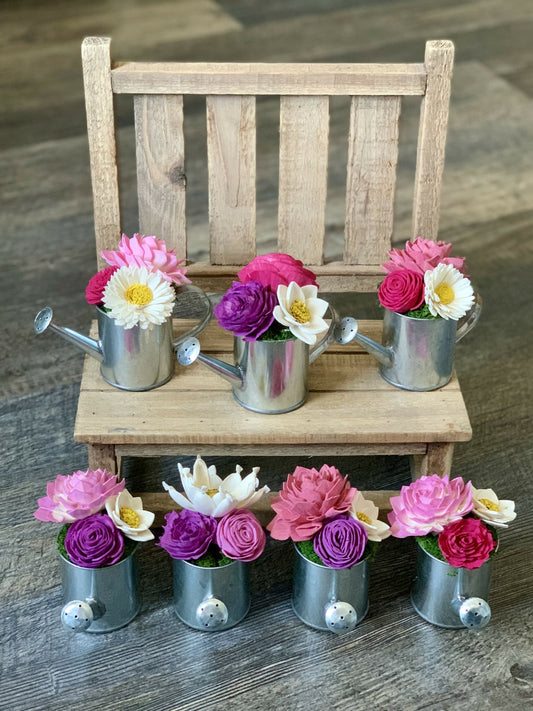 Mini Watering Can