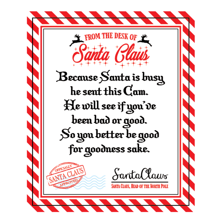 Santa Cam Night Light