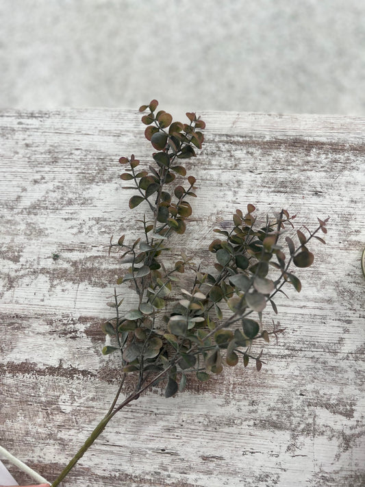 Spiral Eucalyptus Sprays