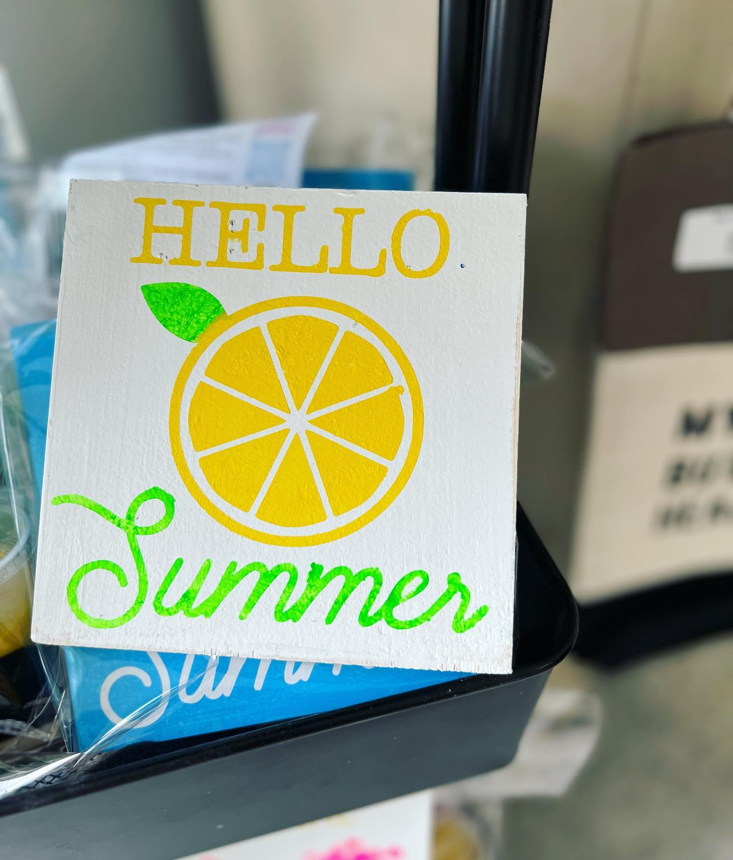 Summer Take & Paint Kits