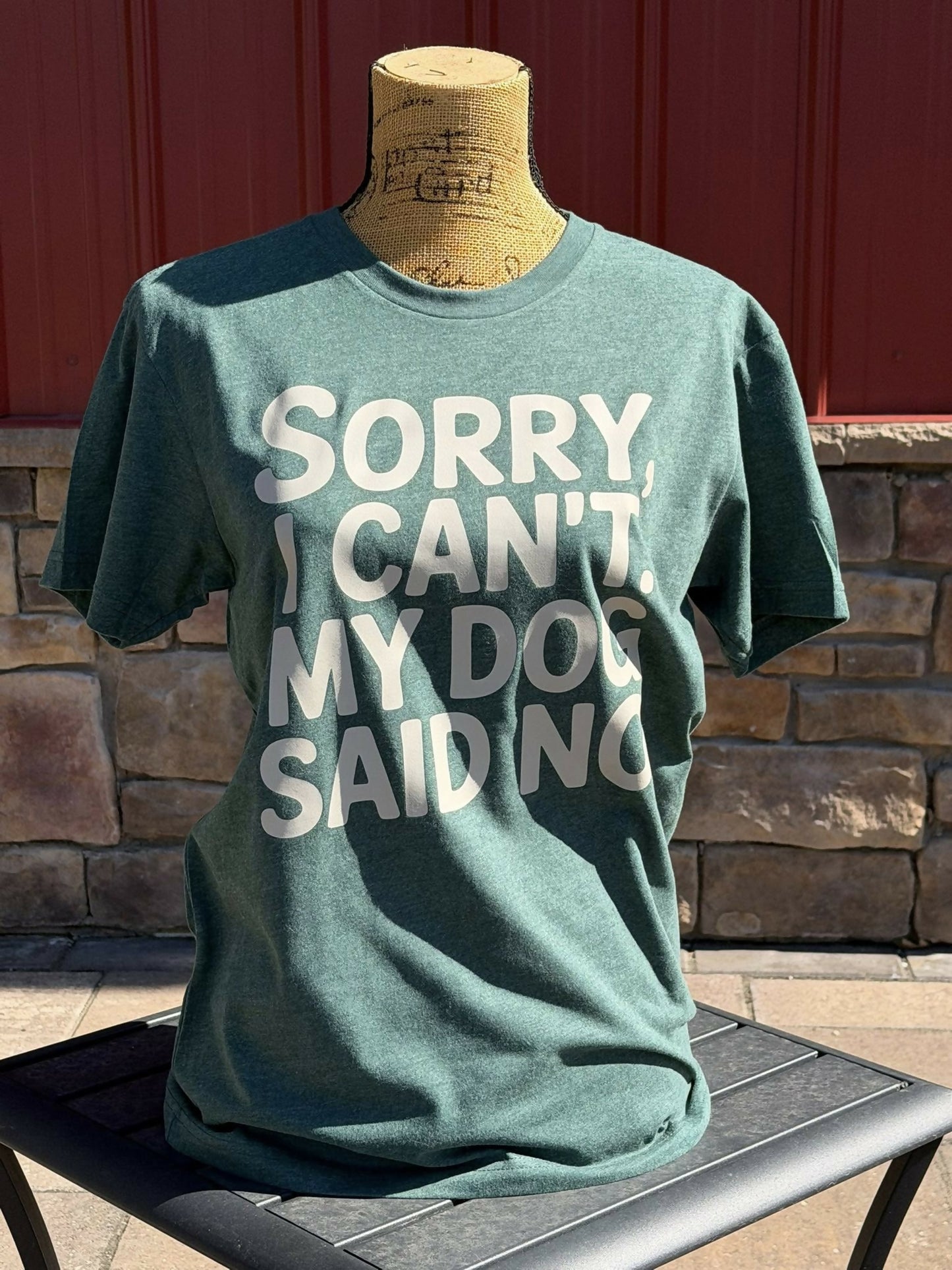 My dog says no