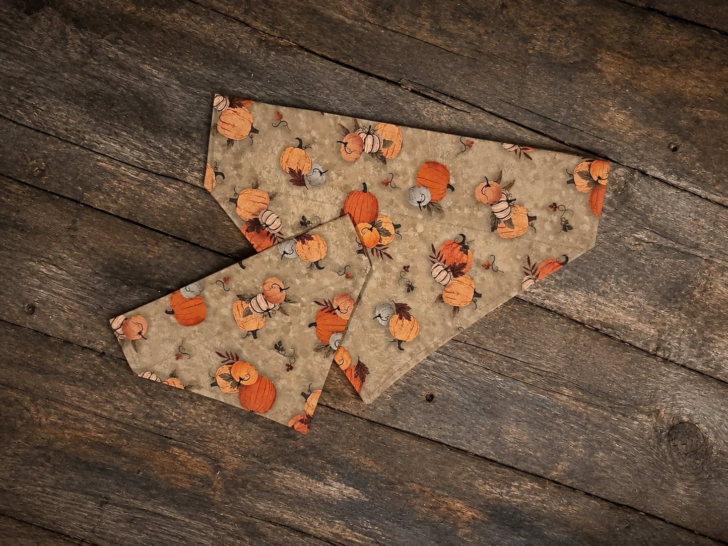 Over the collar bandana Fall Pumpkins