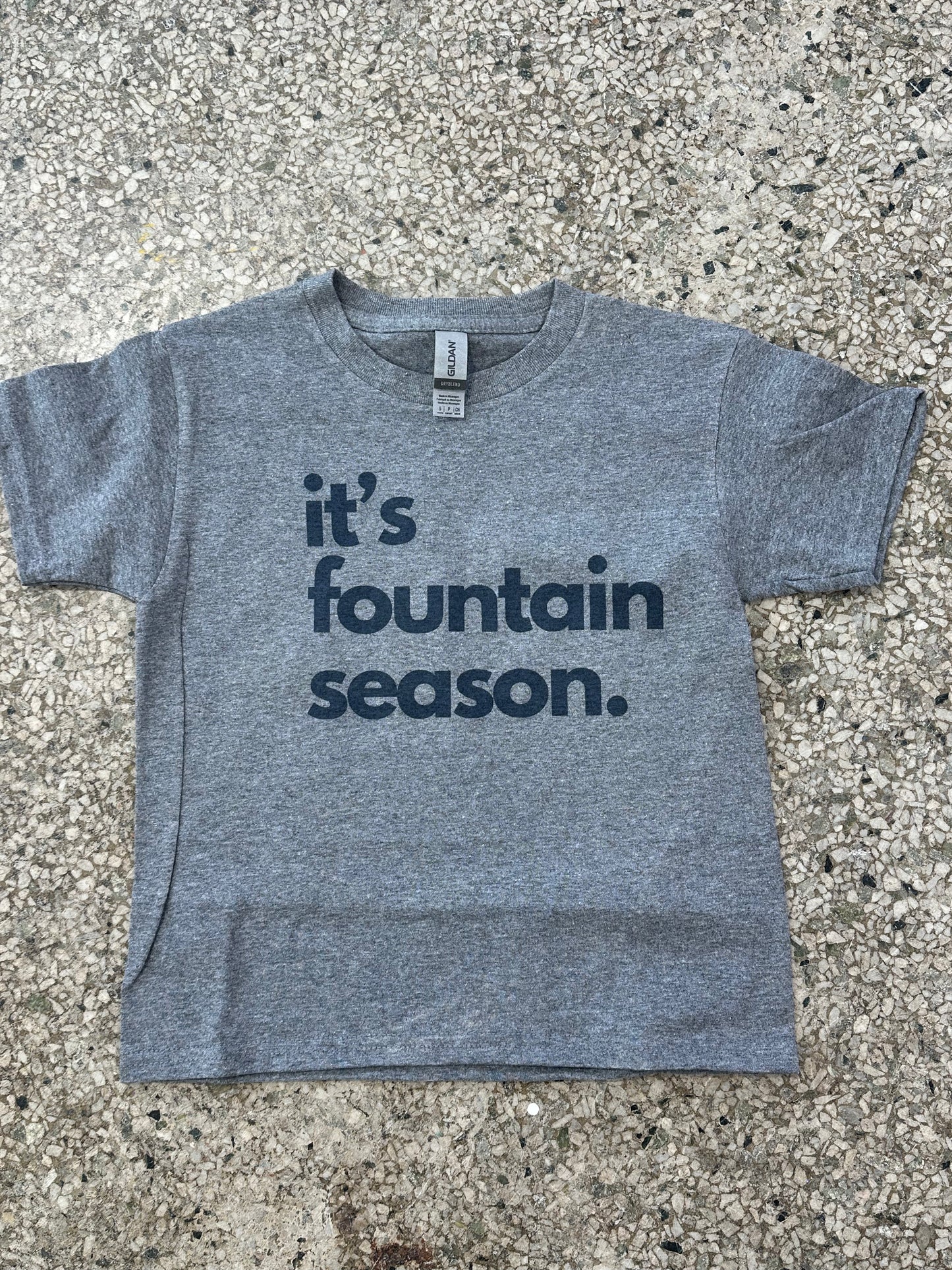 Belleville fountain season kids Tee