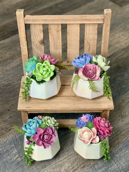 Iridescent Succulent Pot