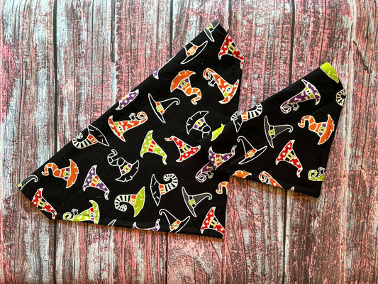 Over the collar bandana Witches