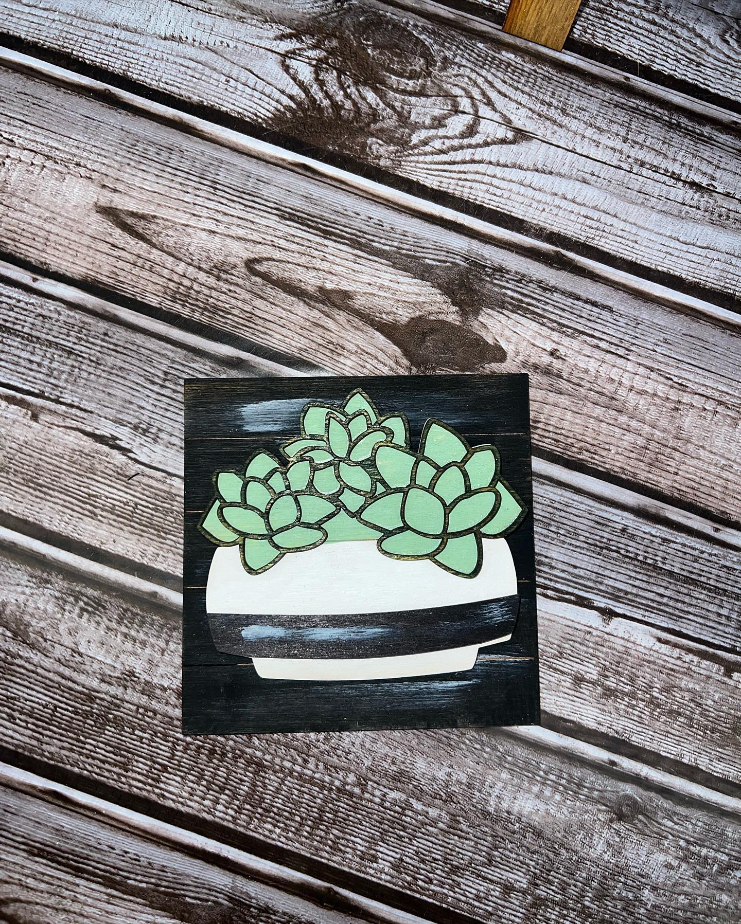 Succulent Interchangeable Squares