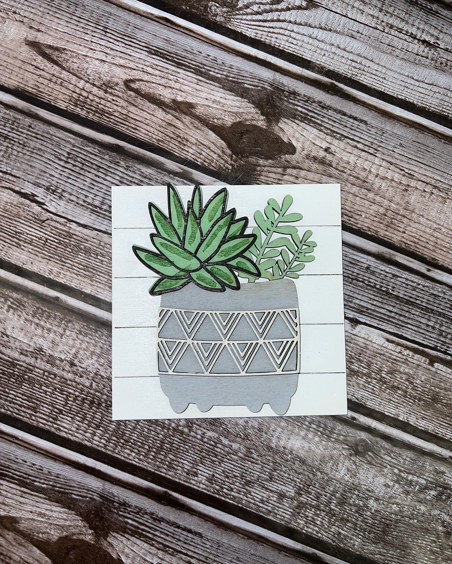 Succulent Interchangeable Squares