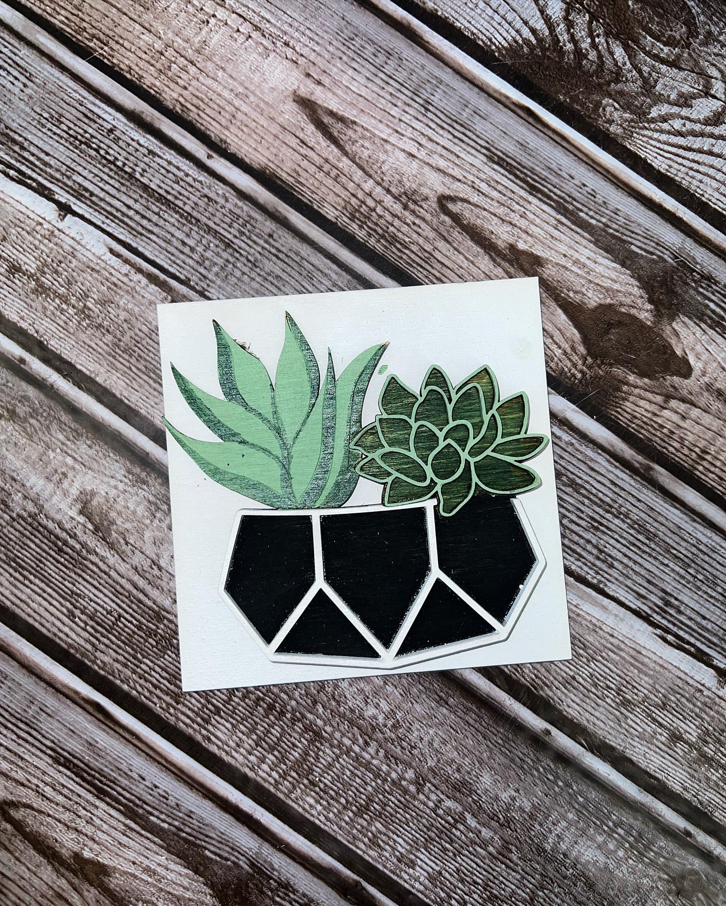 Succulent Interchangeable Squares