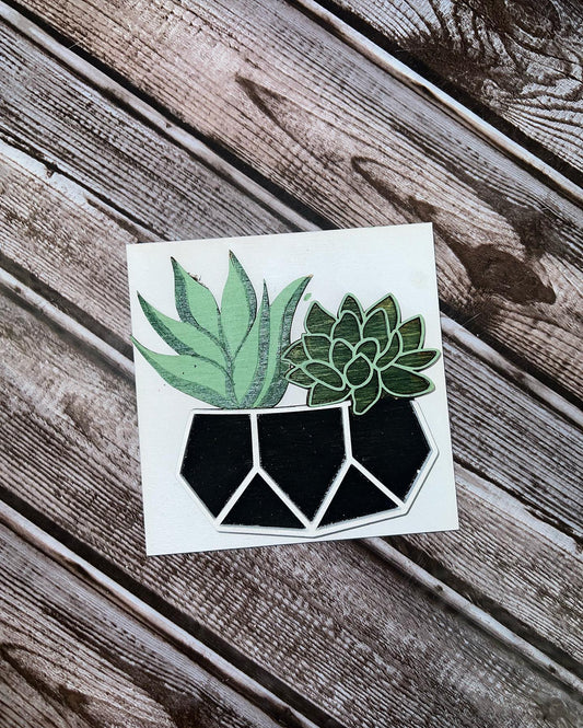 Succulent Interchangeable Squares