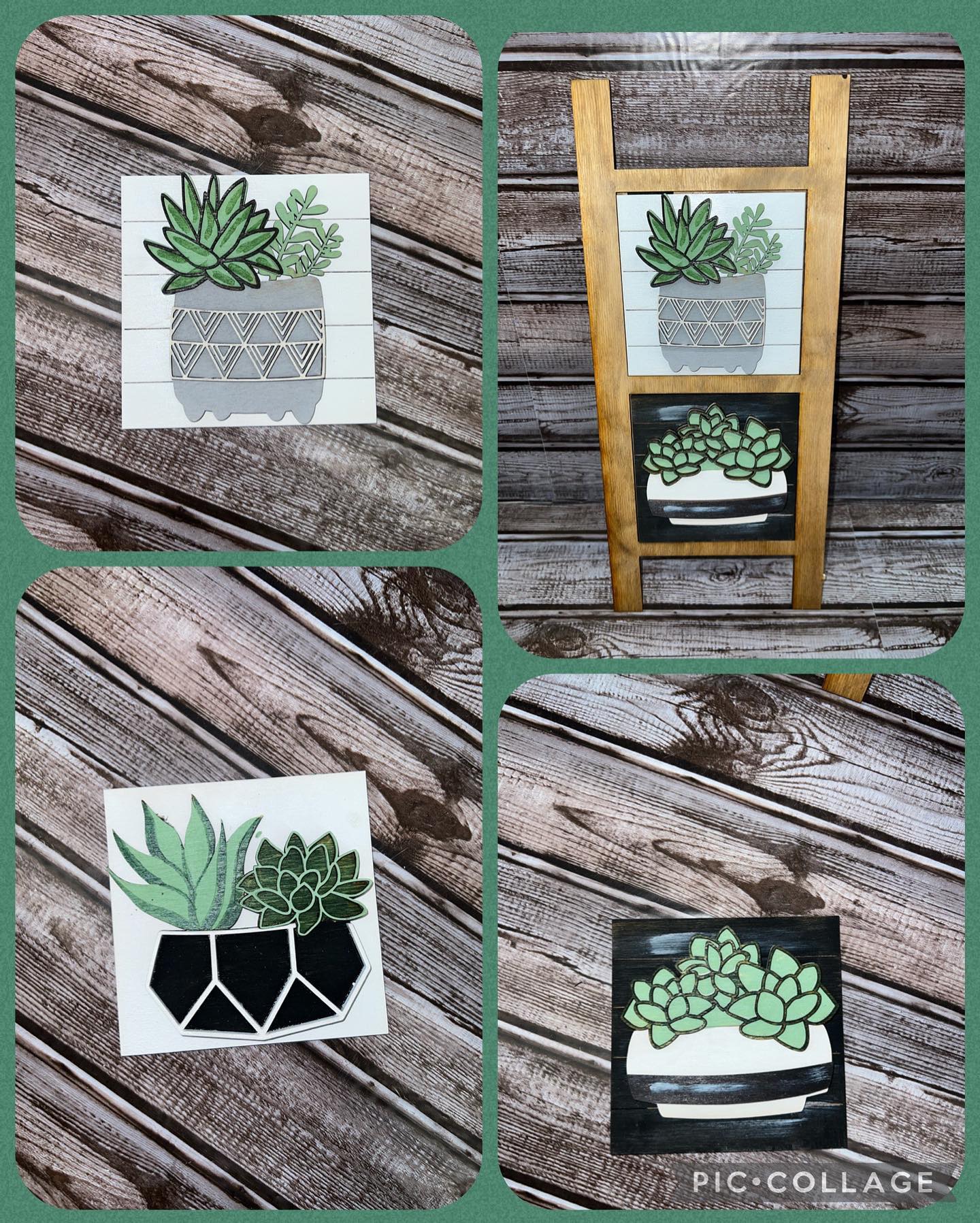 Succulent Interchangeable Squares