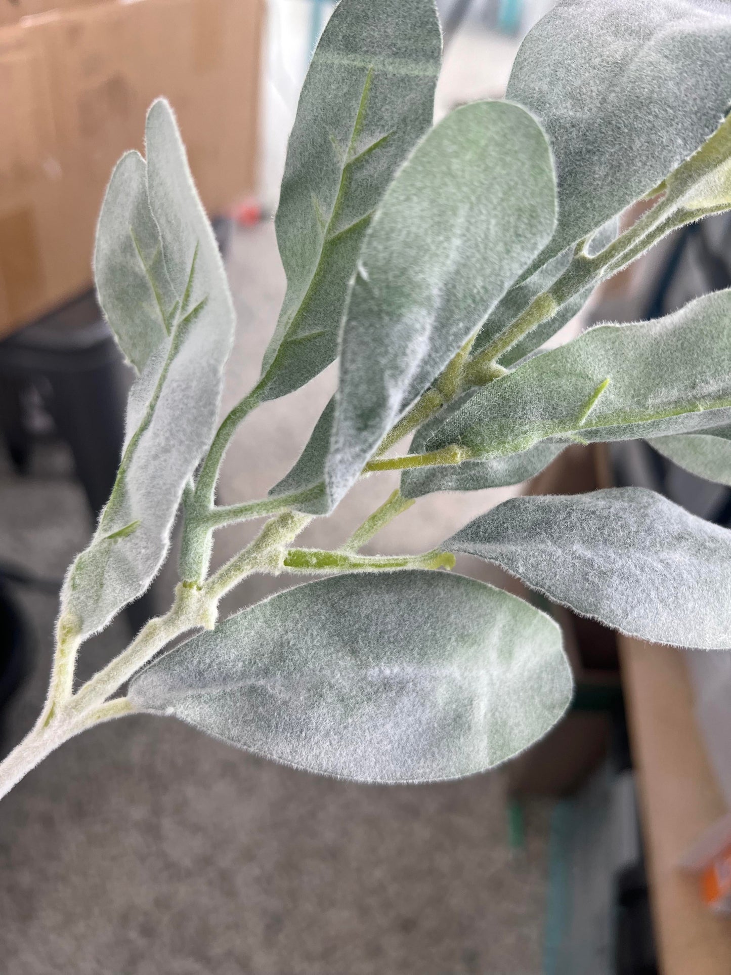 Realistic Flocked Artificial Lamb's Ear