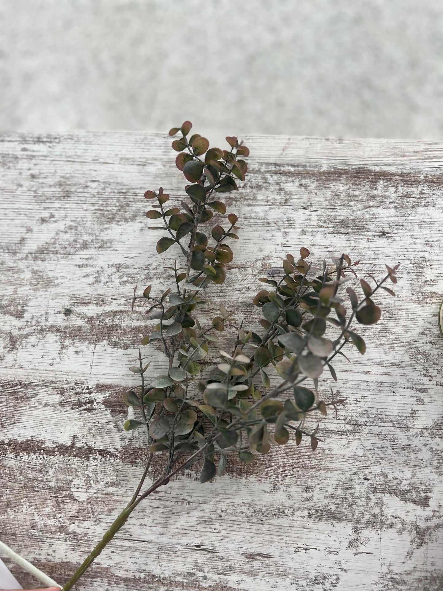 Spiral Eucalyptus Sprays