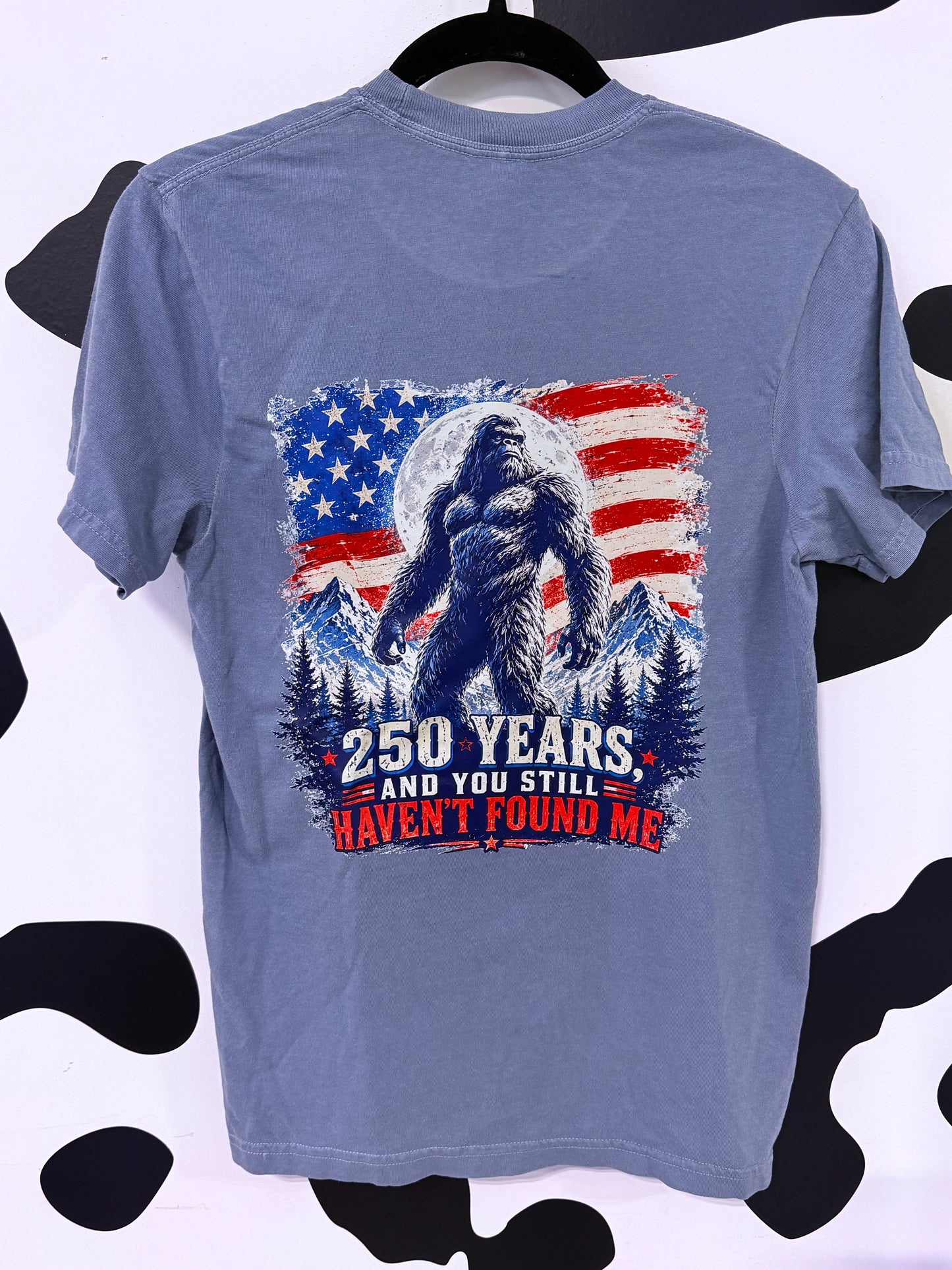 250 Years & You Still Haven’t Found Me