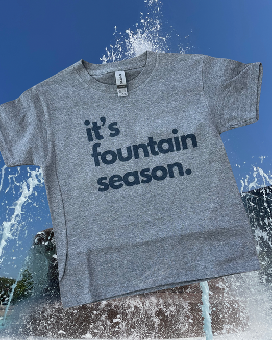 Belleville fountain season kids Tee