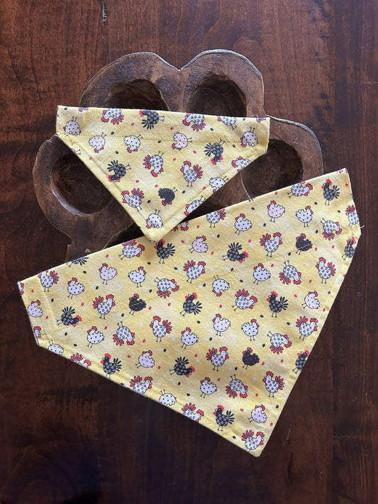 Over the collar bandana Chicken
