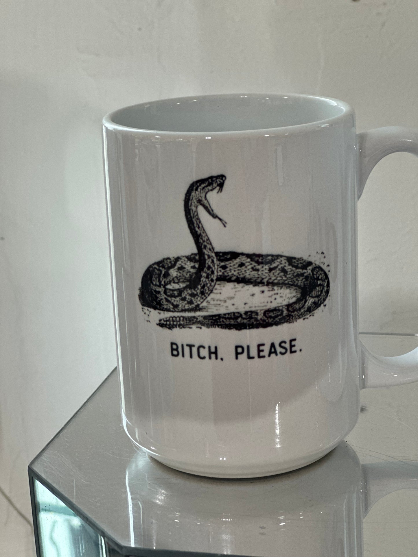 Bitch Please Mug