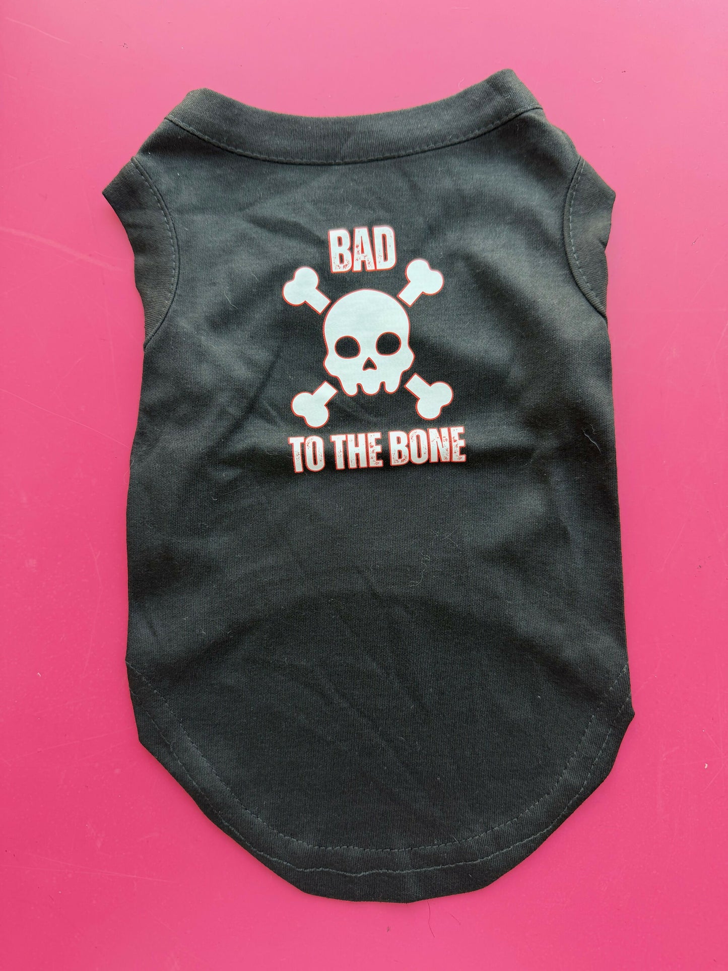 Dog Outfit Bad to the bone