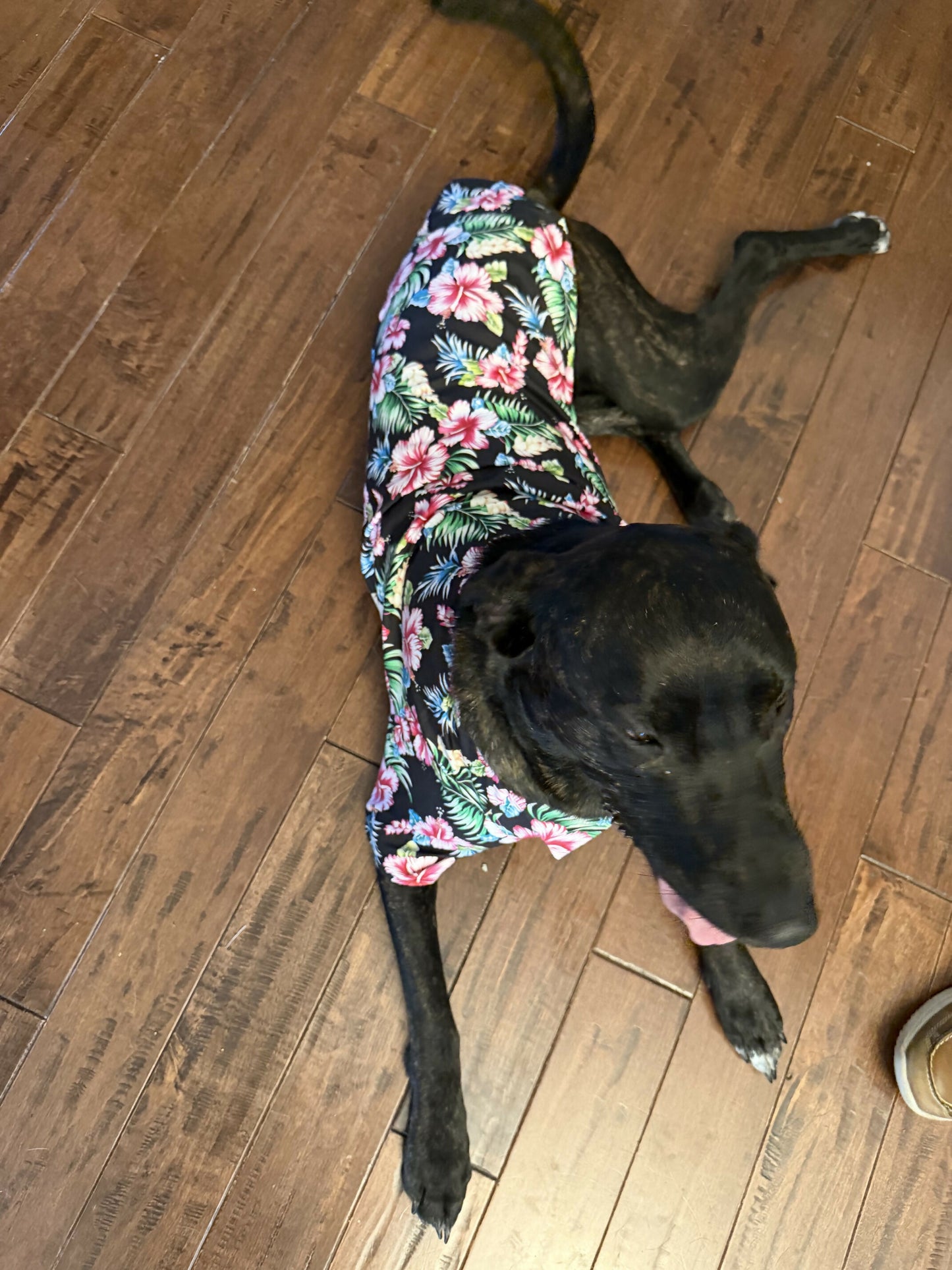 Doggo Hawaiian Shirts