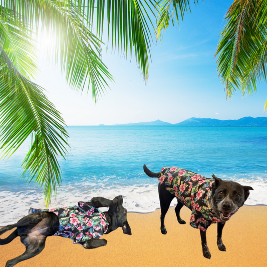 Doggo Hawaiian Shirts