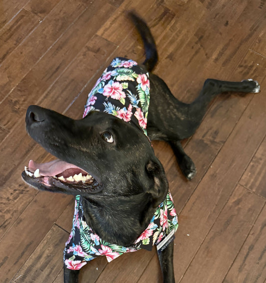 Doggo Hawaiian Shirts