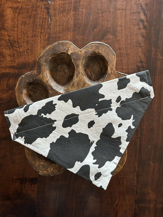 Over the collar bandana Cow
