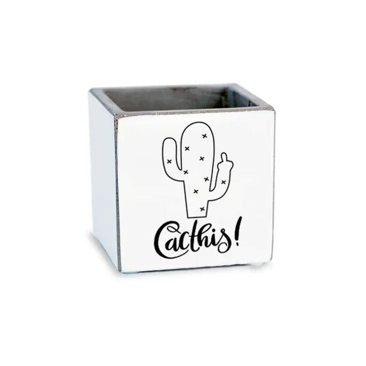 Cacthis Succulent Pot