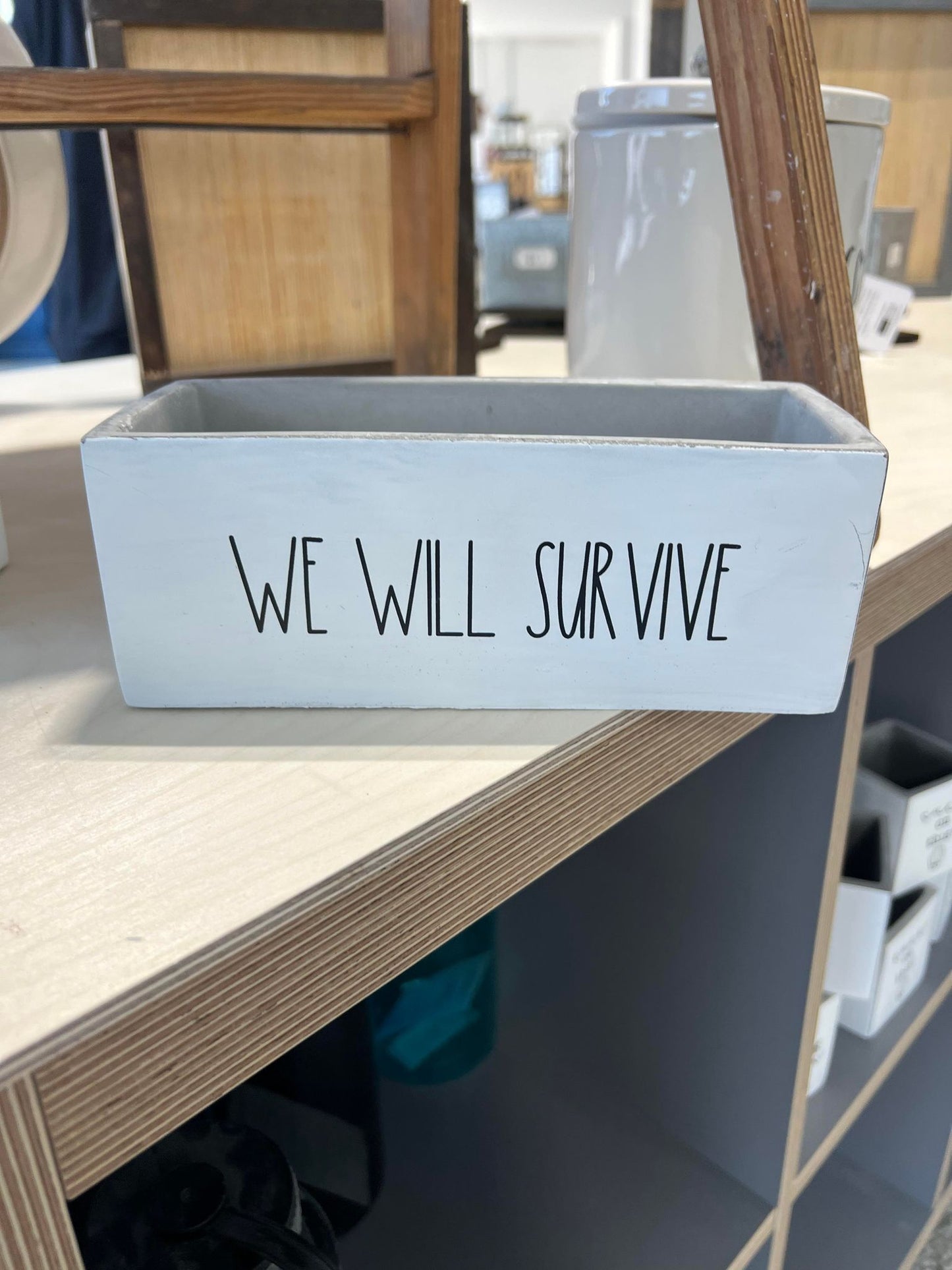 We Will Survive Succulent Pot