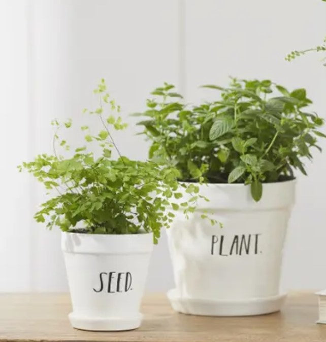 Rae Dunn Stem Print Seed + Plant Planters - Set of 2