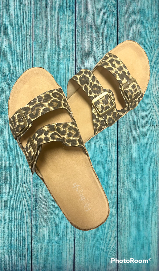 cheetah slides