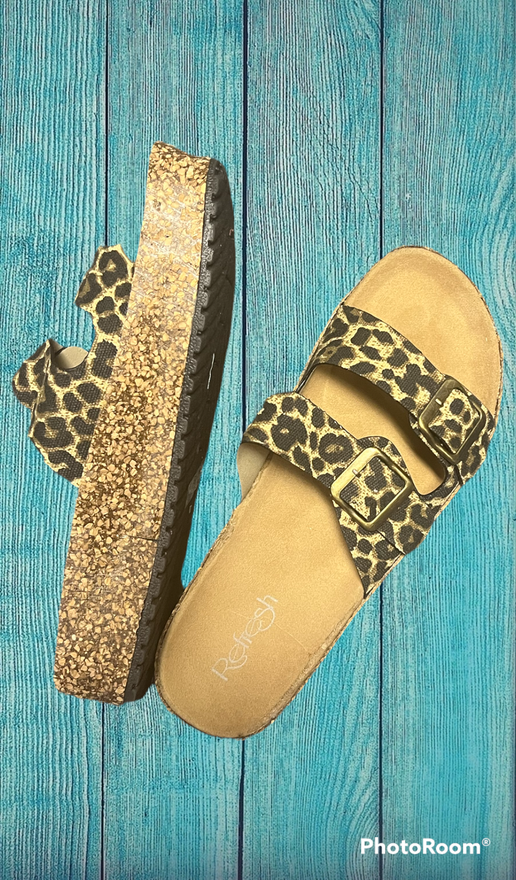 cheetah slides